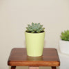 Cylindrical Ceramic Pot