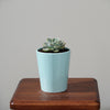 Cylindrical Ceramic Pot