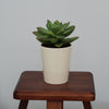 Cylindrical Ceramic Pot