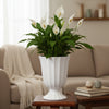 Elegant Ribbed Ceramic Planter Pot