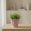 Vintage Style Ceramic Pot