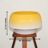 Sunrise Ombre Ribbed Ceramic Planter Pot