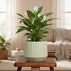 Minimalist Ceramic Pot