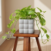 Soft Curve Ceramic Plant Pot
