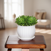 Decorative Ceramic Pot