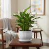 Spring Blossom Ceramic Planter Pot