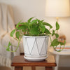 Decorative Line Patterned Ceramic Pot