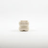Premium Ribbed Ceramic Planter Pot