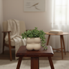 Premium Ribbed Ceramic Planter Pot