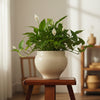 Aura Decorative Ceramic Pot
