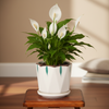 Nova Ridge Ceramic Planter