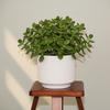 Denim White Ridge Planter