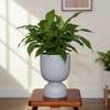 Aura Pedestal Ceramic Planter