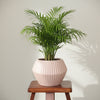 Orchid Ceramic Planter
