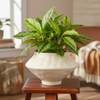 Artisan Facet Ceramic Pot