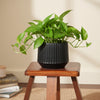 Modern Ringed Ceramic Planter Pot