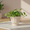 Vintage Style Ceramic Pot