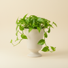 Vase Cup Ceramic Pot