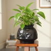 Glossy Black Indoor Planter Pot