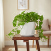 Decorative Line Patterned Ceramic Pot