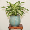 Fluted Facet Ceramic Planter