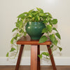 Aura Decorative Ceramic Pot