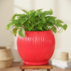 Crimson Glow Ceramic Planter Pot