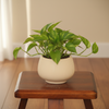 Cream Fluted Ceramic Planter Pot