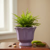 Vintage Style Ceramic Pot