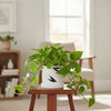 Decorative Textured Ceramic Pot