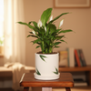 Green Leaf Ceramic Planter Pot