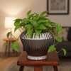 Premium Silver Black Ceramic Planter Pot