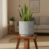 Artisan Ceramic Plant Pot