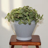 Prism Ceramic Planter