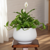 Soft Sage Ceramic Pot