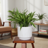 Classic Ceramic Pot