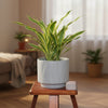 Classic Ceramic Pot