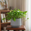 Modern Ringed Ceramic Planter Pot