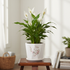 Cherry Blossom Ceramic Planter Pot