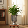 Royal Chrome Flower Vase Pot