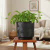 Artisan Ceramic Plant Pot