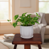 Decorative White Cup Ceramic Pot