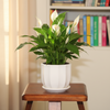 Modern Geometric Ceramic Planter Pot