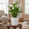 Elegant White Ceramic Pot