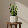 Soft Blush Vertical Ribbed Planter Pot
