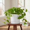 Modern Minimalist Cylinder Planter Pot