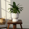 Quilted Ceramic Flower Pot