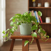 Mint Ridge Ceramic Planter Pot