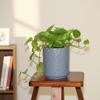 Classic Fluted Indoor Planter Pot