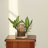 Golden Leaves with Glass Planter
